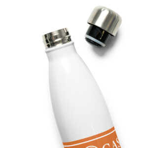 Stainless steel water bottle